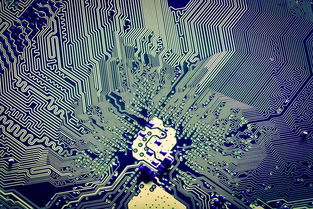 解碼張江創(chuàng)新密碼 從2018上海科技進(jìn)步報告看軟件開發(fā)的奮進(jìn)足音