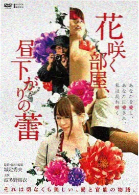 青青河边草精编篇电视电影封面